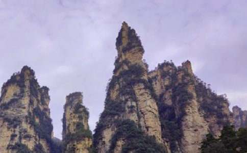 张家界的游记作文600字