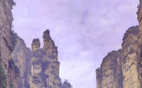 �żҽ��μ�(��)