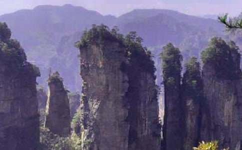 张家界之旅作文15篇(优秀)