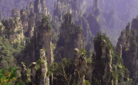 �����żҽ絼�δ�15ƪ