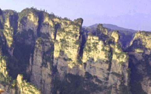 �żҽ��μ�ͨ��15ƪ