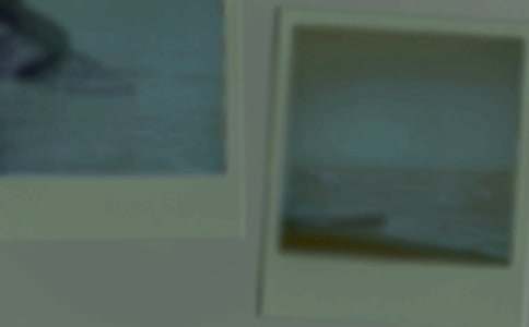 һ����������Ƭ���ľ�ѡ[15ƪ]