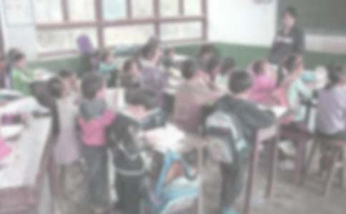 ũ��Сѧ֧�����չ����ܽ�