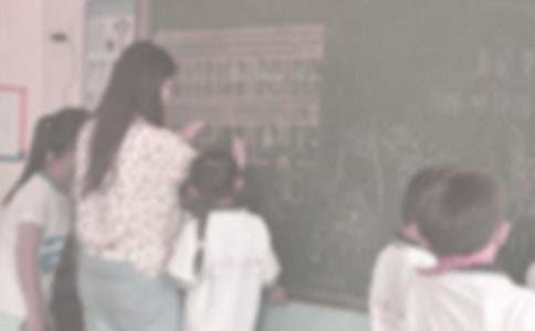 ֧�������ܽ�