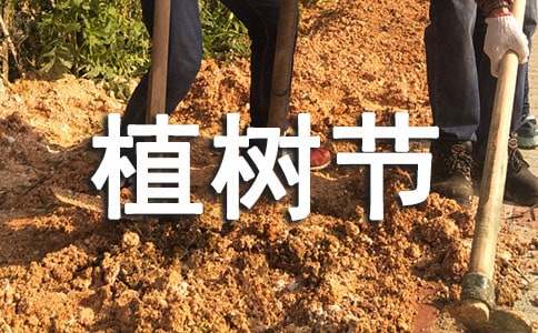 幼儿园春天植树节主题活动一:树叶粘贴画