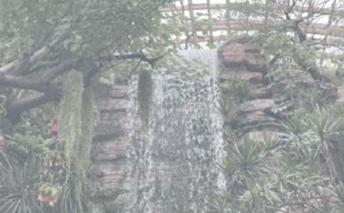 ֲ��԰�ۺ��