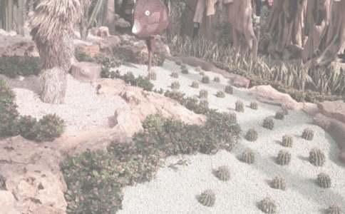 游植物园作文550字