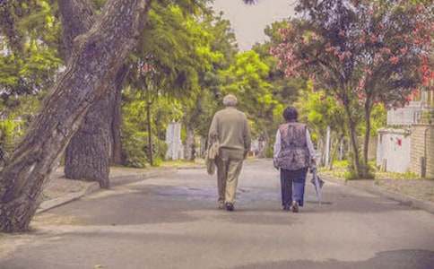 ������ȹ����ܽ�(15ƪ)