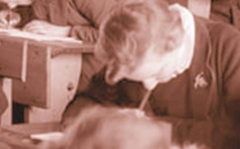 ��ѡ��ѧ����һ������6ƪ