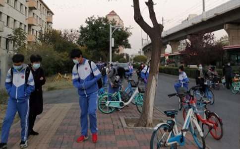 ���ر�����ѧ������41ƪ