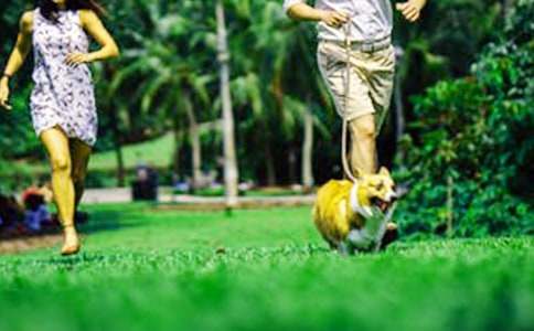 周末问候短信通用15篇