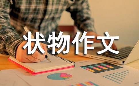 【精华】状物作文合集10篇
