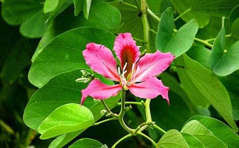 �Ͼ�������500��4ƪ