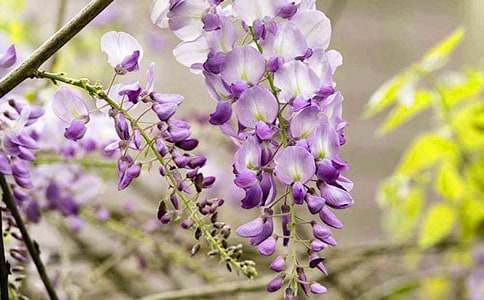 ���ٻ�����300��3ƪ