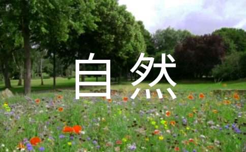 ����Ȼ�۲��ռ�