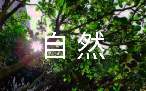 大自然的声音评课稿