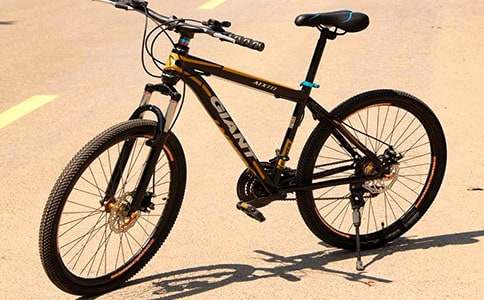 ���������г�_���꼶ͯ������500��