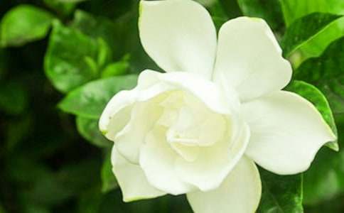 �й������ӻ���Ψ������