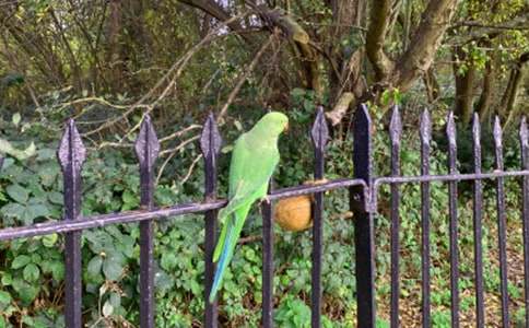 �����������ģ�������