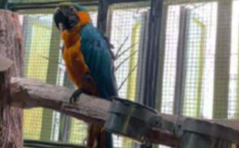 [����]��������600��