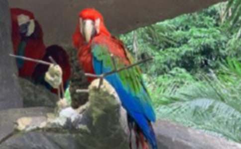 ��������600������[4ƪ]