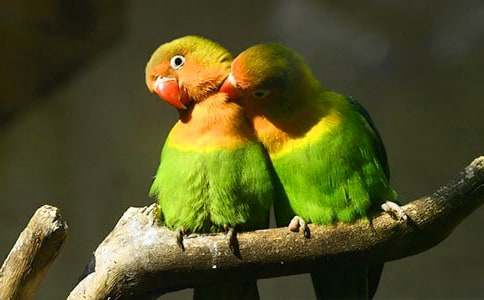 �����䣩�Ҽҵ���������