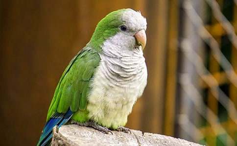 �����㣩��������600��5ƪ