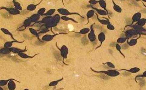 �а��ѧС���������̰����ģ���ѡ7ƪ��