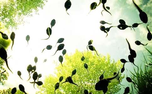 ����С��������[����]