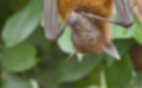 �������������[����]