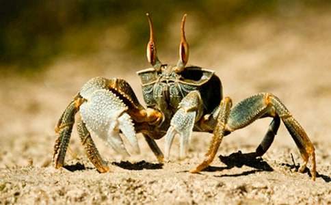 Сѧ���꼶���ģ��з