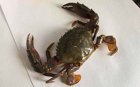 �з�۲��ռ�15ƪ