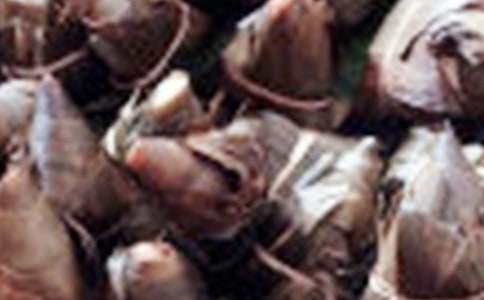 ���ӳ�������