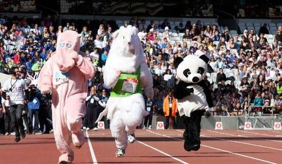 ѧ����У�˶��Ṥ���ܽ�