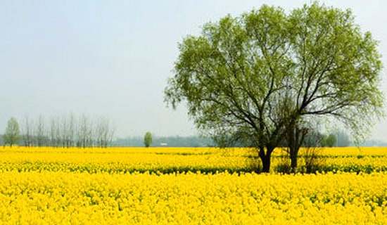 ���༶���λ�߻�