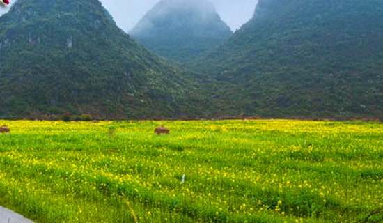 ���꼶��ͼд������