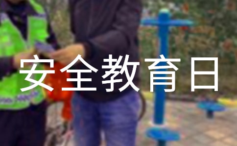 学生安全教育日活动方案(通用11篇)