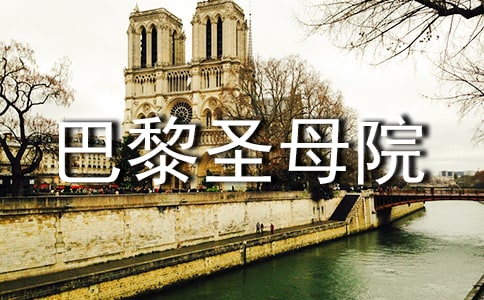 《巴黎圣母院》读后感600字