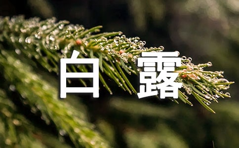 白露的祝福短信(精选700句)