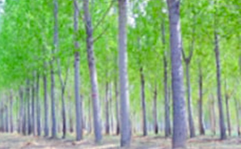 ���ġ������ѧ��˼����850��