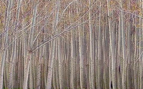 �������޽̰�