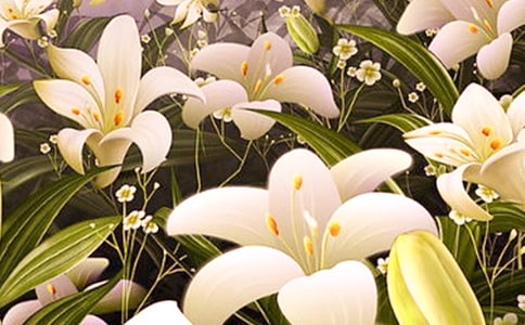 ��д�ٺϻ��Ƕ�ľ���