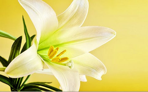 �����Ƕ�ٺϻ�����ɢ��