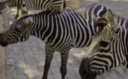 С������ѧ��˼����