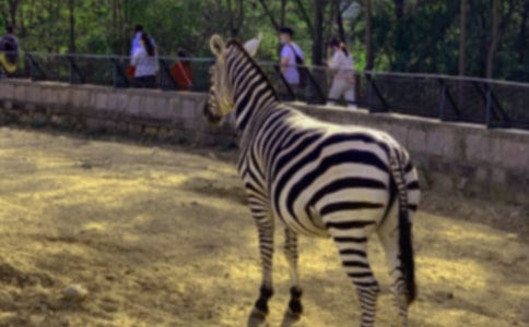 С��������������