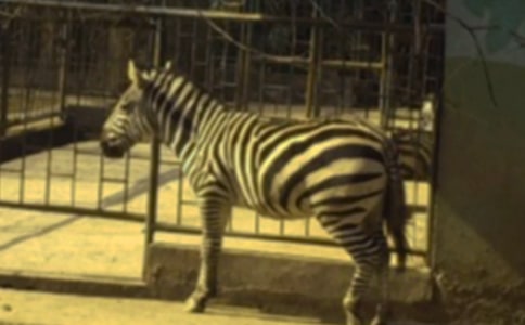 ���ð���������15ƪ