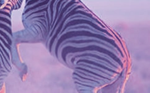 �������ð����߳�����