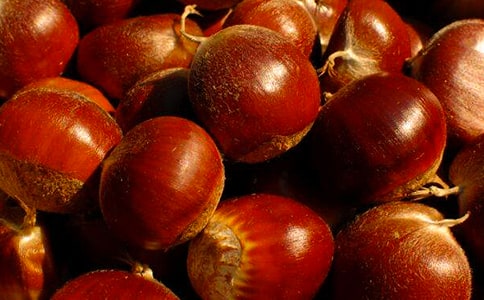 糖炒板栗作文600字