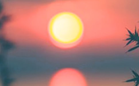 乡村的傍晚_小学生五年级作文