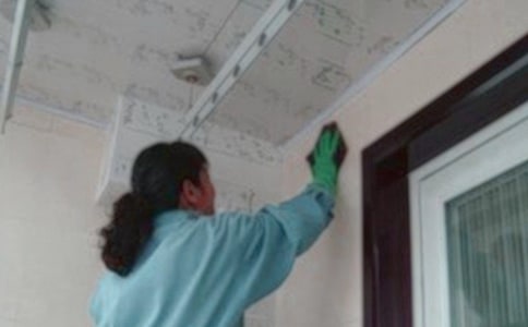 ��԰�������������ܽ᷶�ģ���ѡ9ƪ��